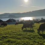 Stiedlbauerhof Farm stay