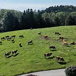 Farm stay Stiedlbauerhof