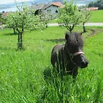 Farm stay Stiedlbauerhof *