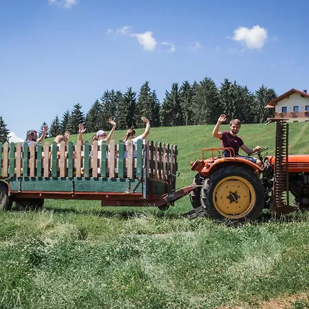 Stiedlbauerhof Farm stay