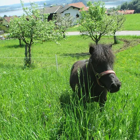 Gospodarstwo agroturystyczne Stiedlbauerhof *