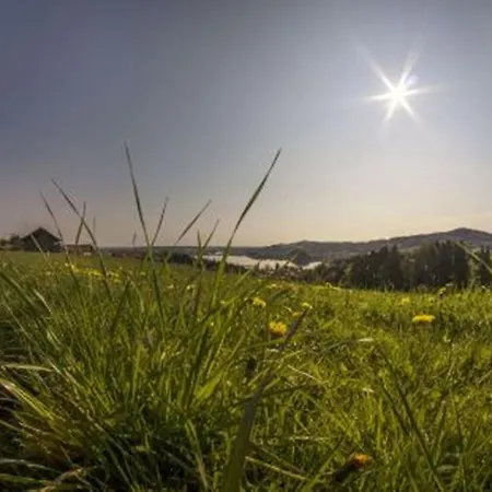 Stiedlbauerhof * Seeham