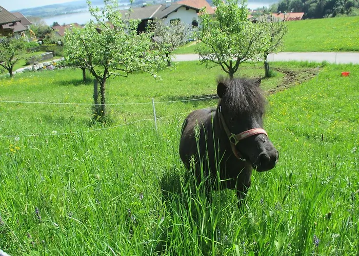 Κατάλυμα σε φάρμα Stiedlbauerhof *