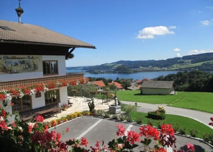 Stiedlbauerhof Κατάλυμα σε φάρμα *