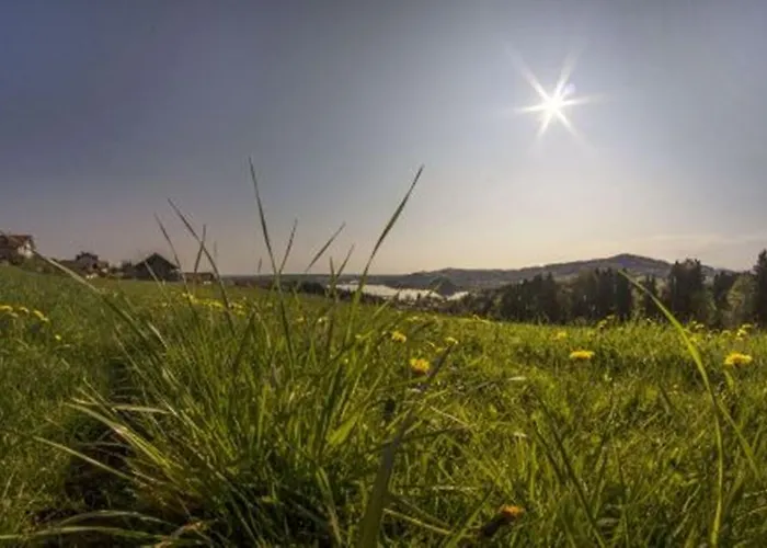 Stiedlbauerhof * Seeham